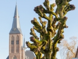 IMG 8419 DezeFoto FB