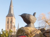 IMG 8563 DezeFoto FB