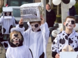 1 IMG 1799-2 Carnavalsoptocht 2015 DezeFoto : 2015, Adjudant, Anne, Deurningen, Jan, Prins, nettelkornkes, optocht