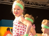 135 Receptie IMG 0219 DezeFoto : 2016, Carnaval, Ensink, Receptie, andre, hugo, nettelkornkes