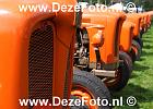 IMG 1249 DezeFoto