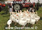 IMG 1336 DezeFoto