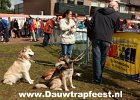 IMG 3971 DezeFoto