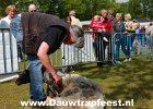 IMG 3976 DezeFoto