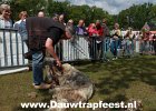 IMG 3977 DezeFoto