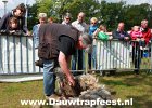 IMG 3978 DezeFoto