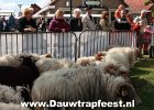 IMG 3983 DezeFoto