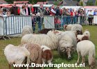 IMG 4072 DezeFoto