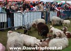 IMG 4077 DezeFoto