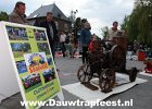 IMG 4140 DezeFoto
