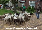 IMG 4167 DezeFoto