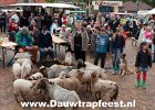 IMG 4192 DezeFoto