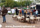 IMG 4214 DezeFoto