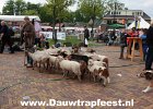 IMG 4215 DezeFoto