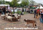 IMG 4216 DezeFoto