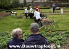 IMG 2310 DezeFoto