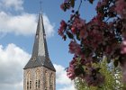 IMG 2486 DezeFoto