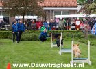 IMG 6981 Dauwtrapfeest 2015 DezeFoto