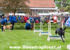 IMG 6986 Dauwtrapfeest 2015 DezeFoto