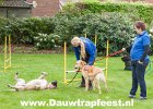 IMG 7004 Dauwtrapfeest 2015 DezeFoto