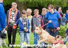 IMG 7011 Dauwtrapfeest 2015 DezeFoto