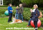IMG 7015 Dauwtrapfeest 2015 DezeFoto